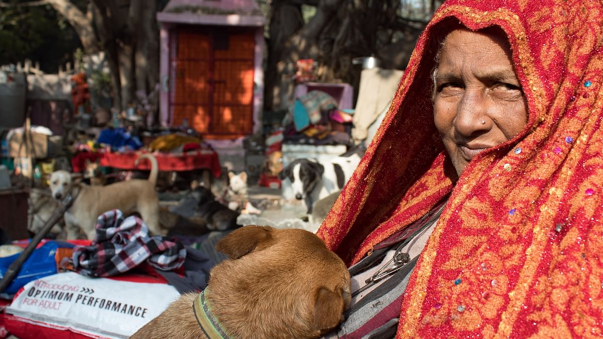 In Pics: MCD Demolition Leaves Pratima 'Amma', 200 Dogs Homeless in Biting Cold