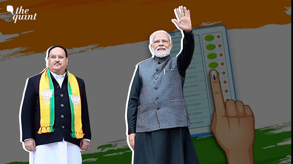 BJP’s Mission 2024: Can the Modi Govt Balance Diplomacy With Domestic Politics?