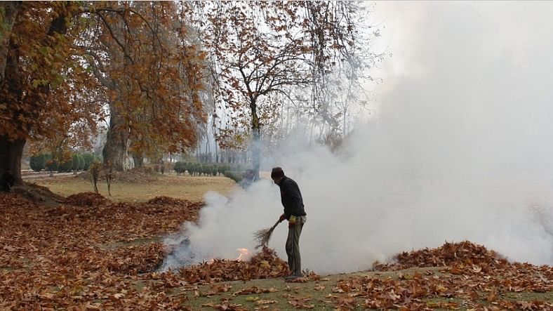 <div class="paragraphs"><p>A man burning leaves to make charcoal in Mughal Garden, Bijbehara.</p></div>