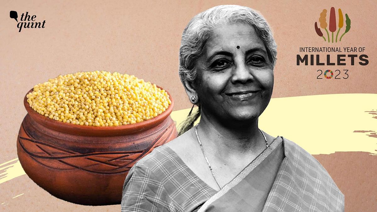 India's Nutrition Crisis: Can Govt's Millets Scheme Help Farmers & Boost Health?