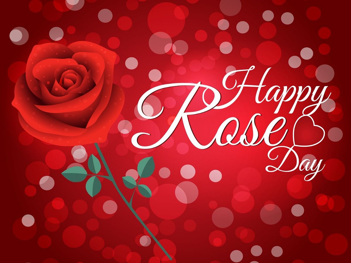Happy Rose Day 2023 Shayari, Wishes, Quotes, Images, and WhatsApp ...