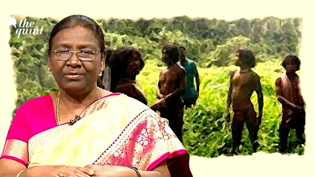 India's Tribal Land: Can Both Development & Conservation Be Andaman's Priority?