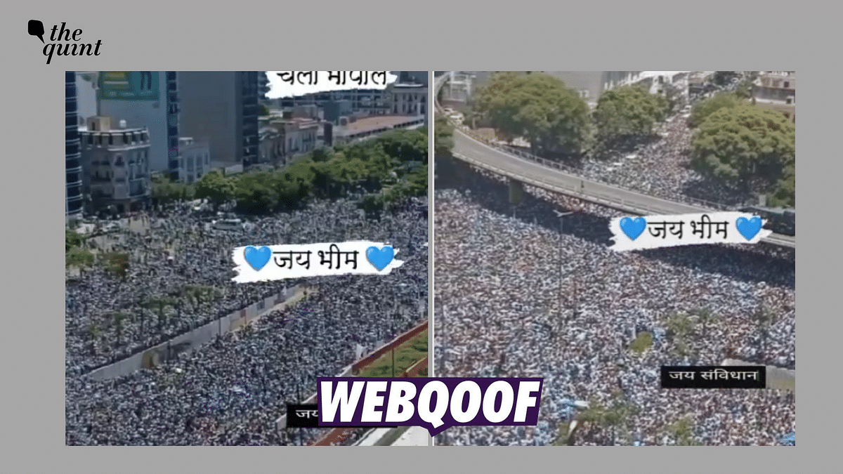 Video Shows Visuals From a Bhim Army Protest? No, It Is From Argentina