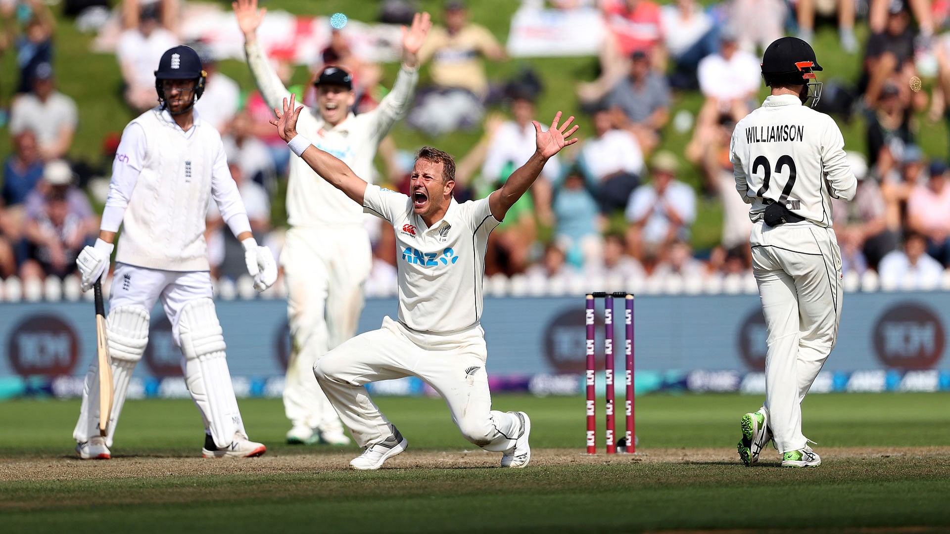 <div class="paragraphs"><p>New Zealand vs England: Neil Wagner took the last wicket of New Zealand.</p></div>