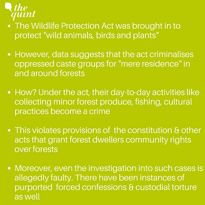 The Wildlife Protection Act & How It Is Used To Criminalise Forest Dwellers 2