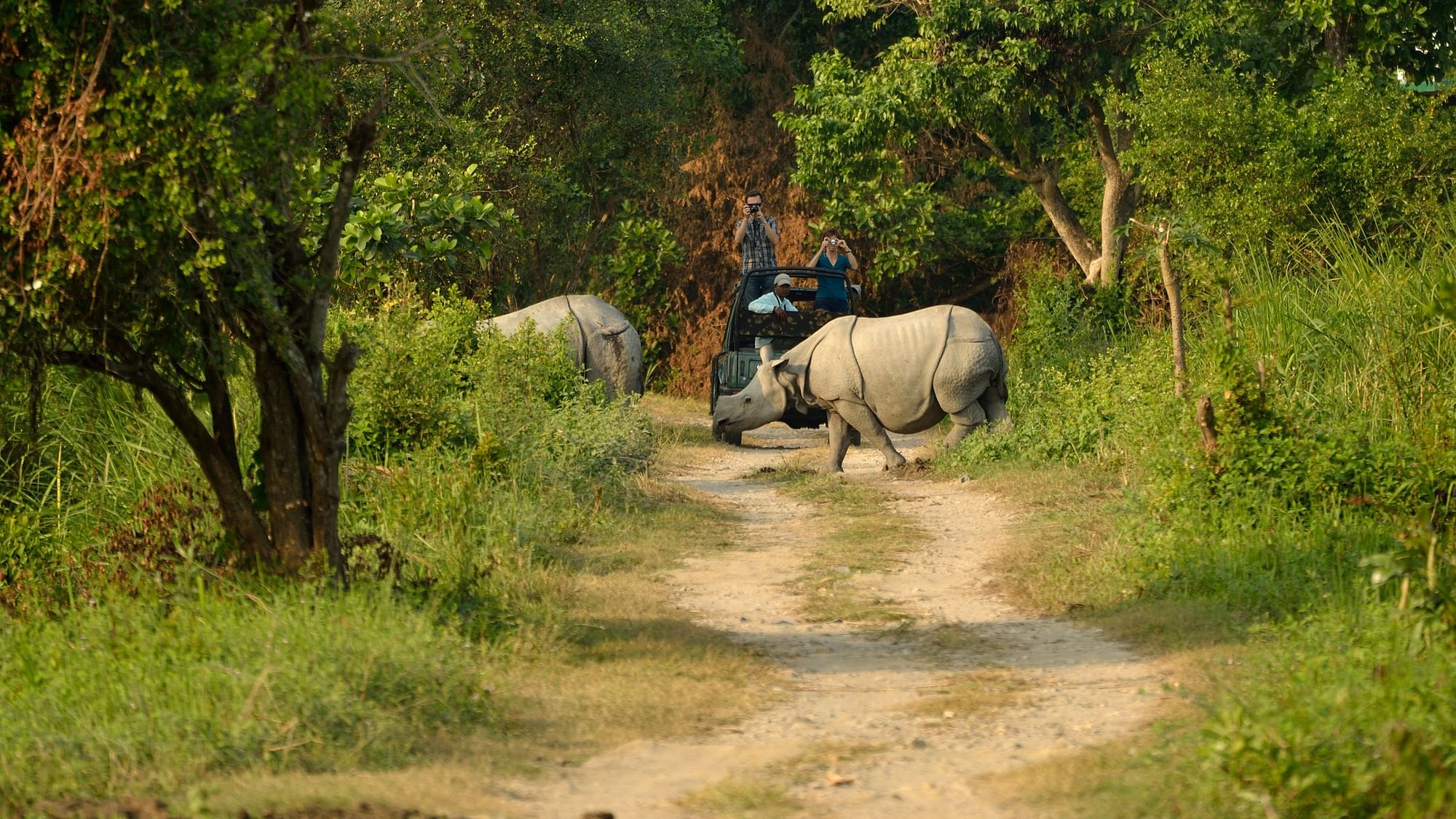 <div class="paragraphs"><p>The West Bengal government has started screening drivers and guides of vehicles that take tourists inside the Jaldapara National Park.</p></div>