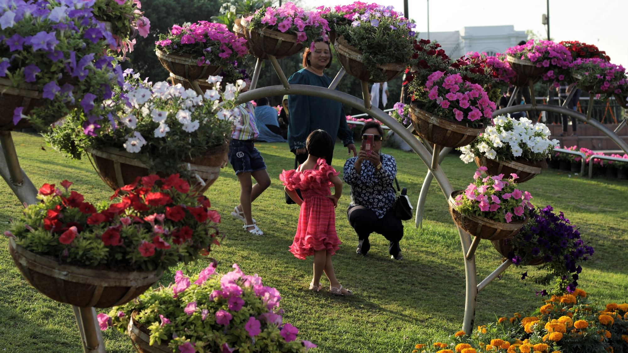 <div class="paragraphs"><p>From petunia to marigold, in multiple colours, flowers are neatly arranged in pots and baskets. This is a common sight in many circles and parks in the New Delhi Municipal Council (NDMC) area.</p></div>
