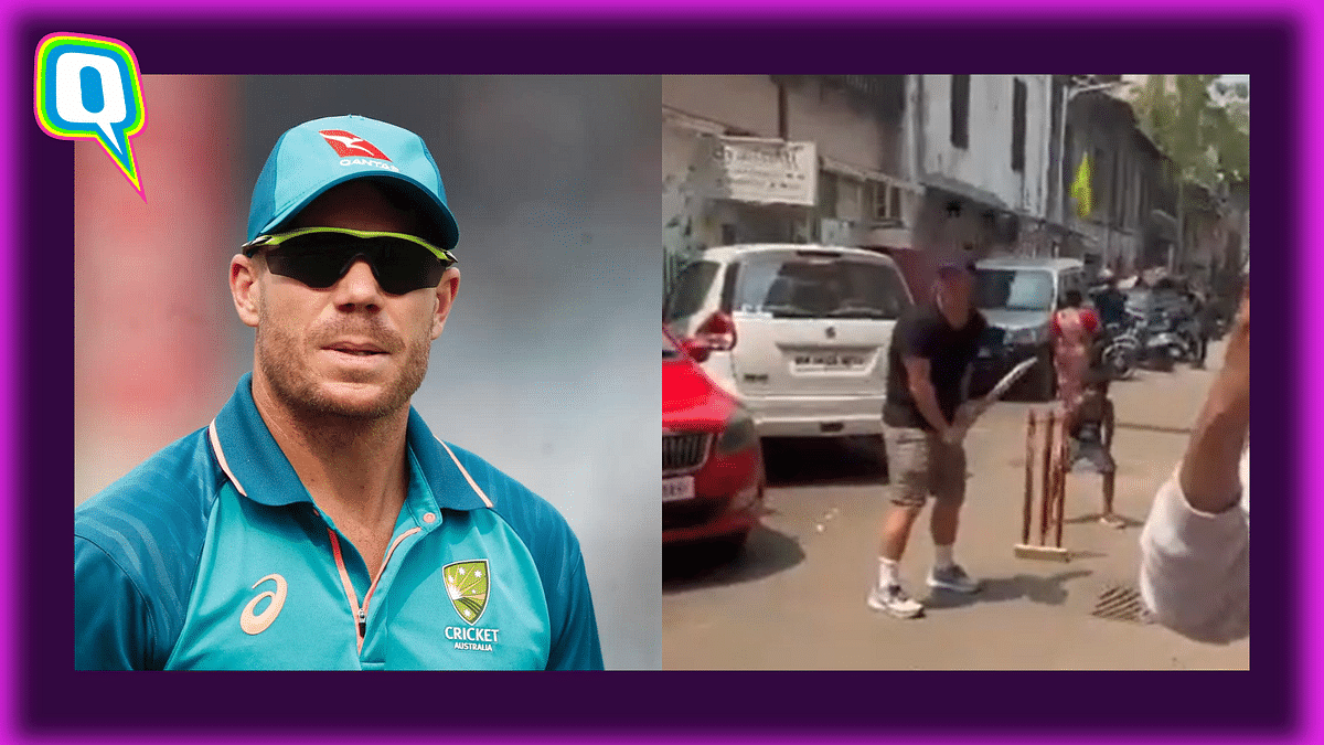 Netizens React To David Warner Playing Gully Cricket In Streets Of Mumbai