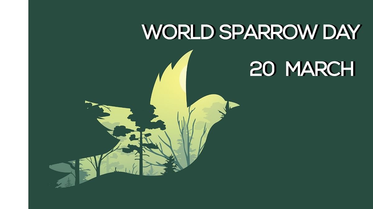 <div class="paragraphs"><p>World Sparrow Day 2023: Know the theme, history, significance, and other details.</p></div>