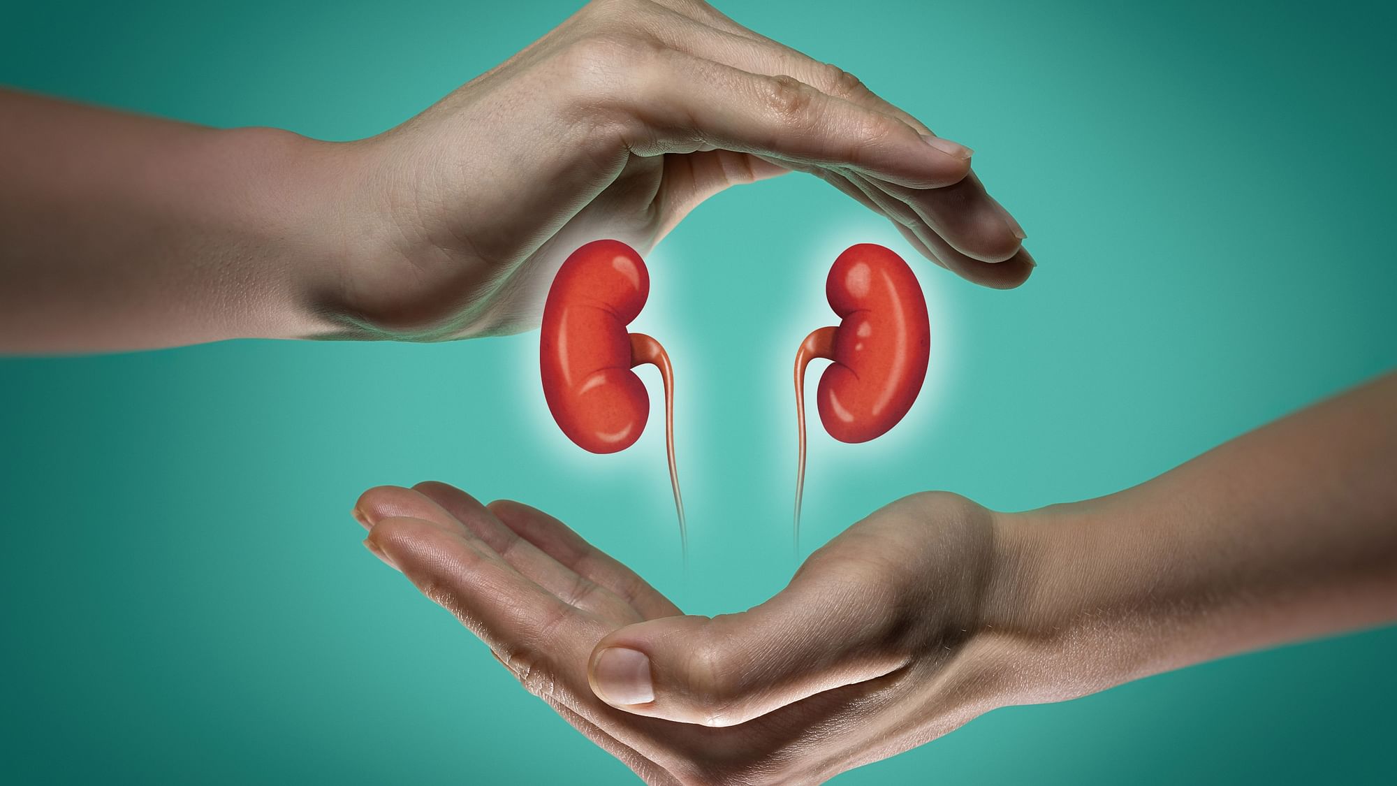 <div class="paragraphs"><p>World Kidney Day 2023 will be observed on 9 March 2023.</p></div>