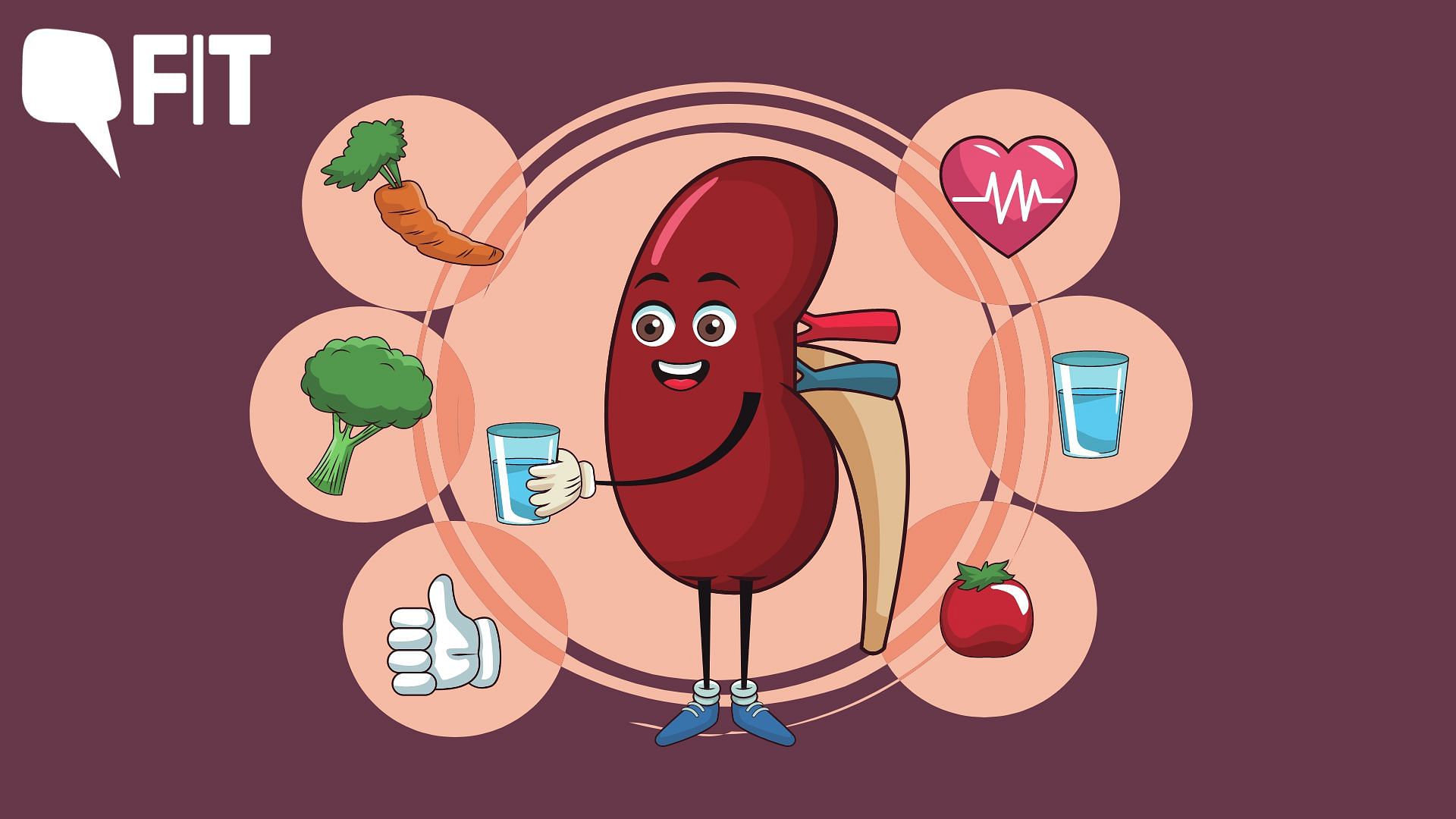 <div class="paragraphs"><p>One  really important roles of the kidneys is the removal of waste products and excess fluid from the body which is done through the urine.</p></div>