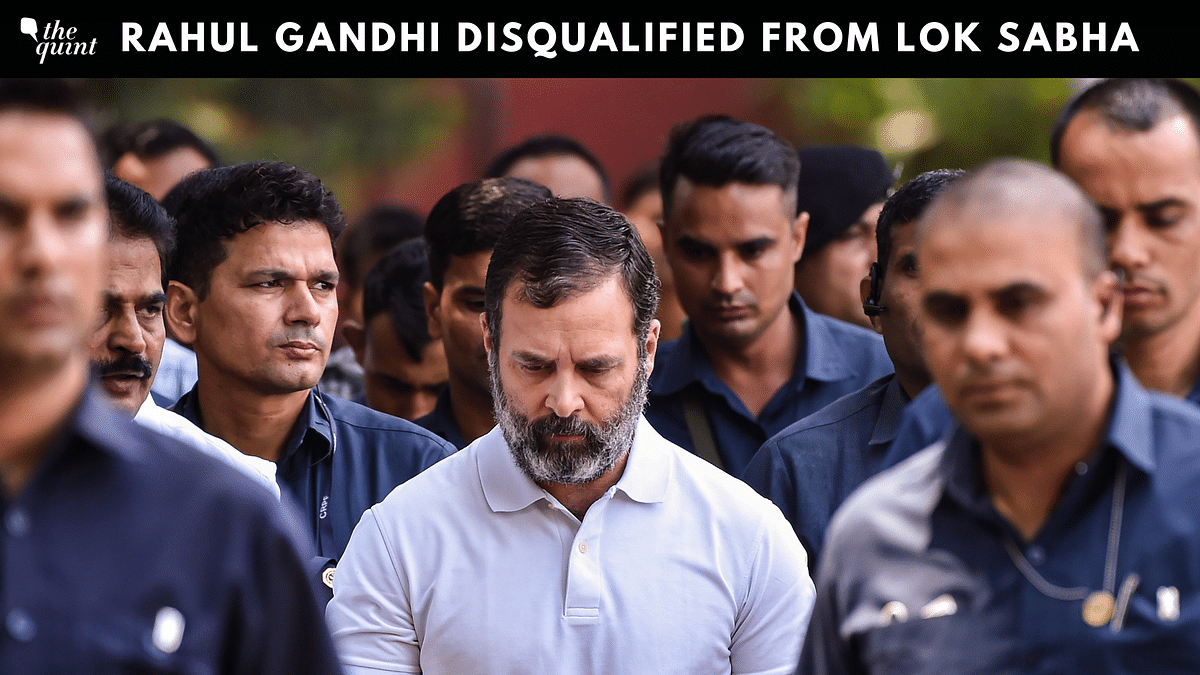 Why Was Rahul Gandhi Disqualified, What Happens If By-Polls are Held in Wayanad?