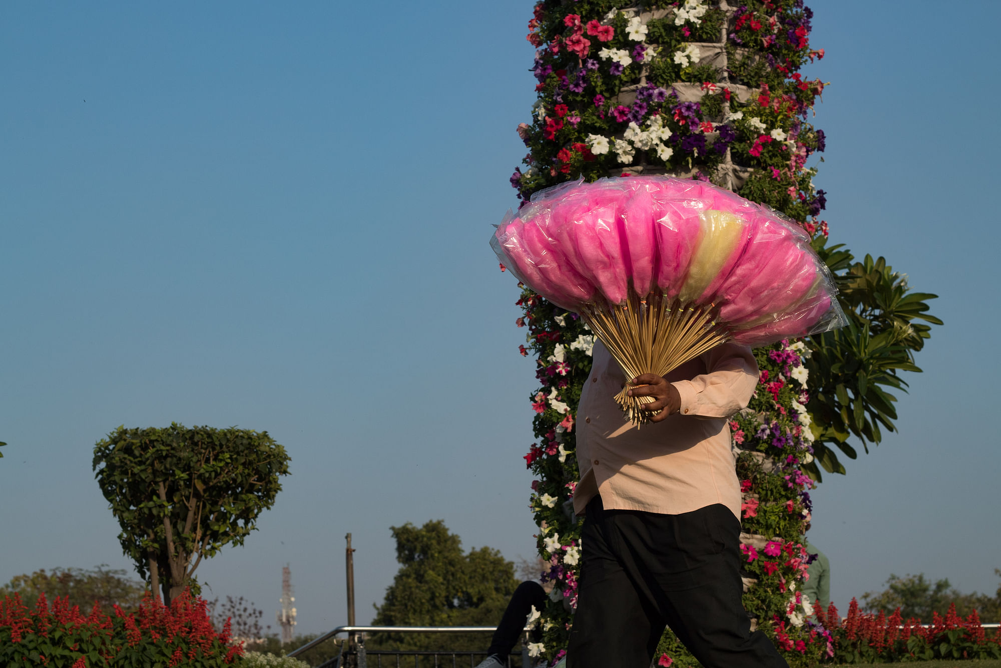 G20 Flower Festival kicks off at Delhi's Connaught Place from today, read  deets