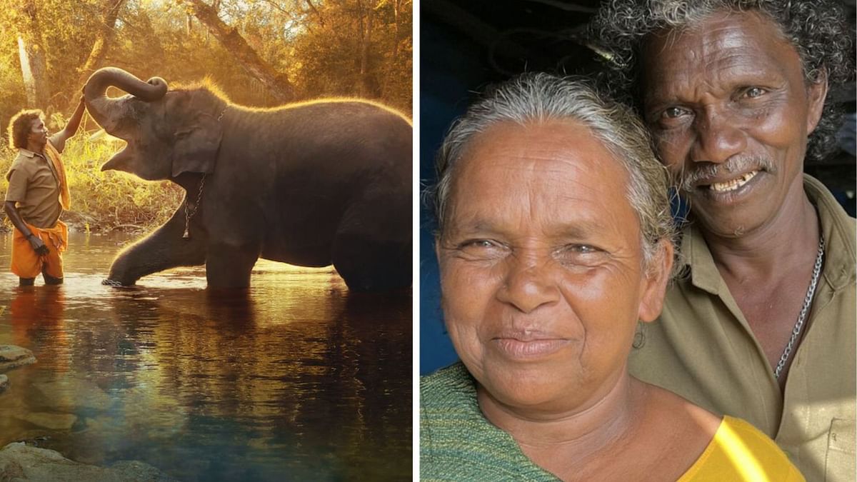 'Bomman & Bellie First to See The Elephant Whisperers': Director Refutes Claims