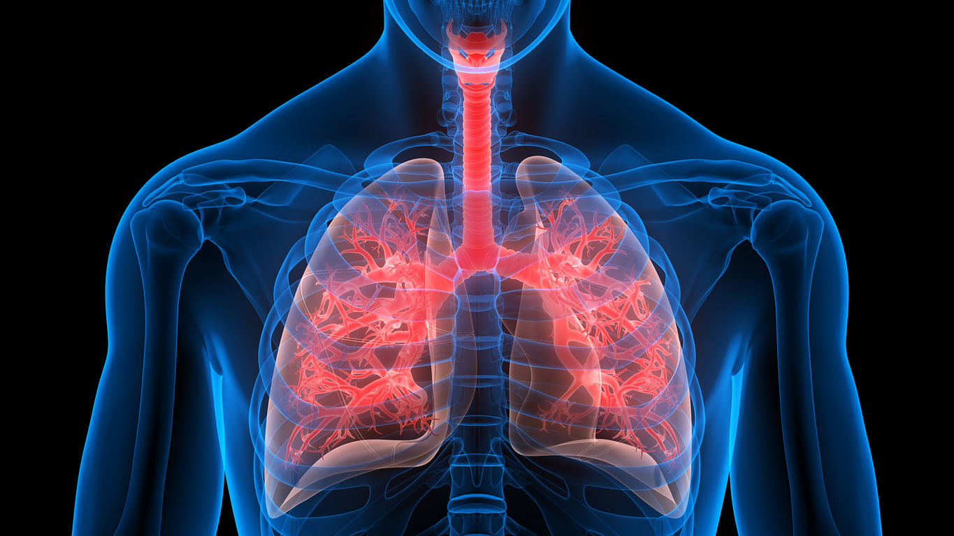 <div class="paragraphs"><p>Tips to keep the lungs healthy</p></div>