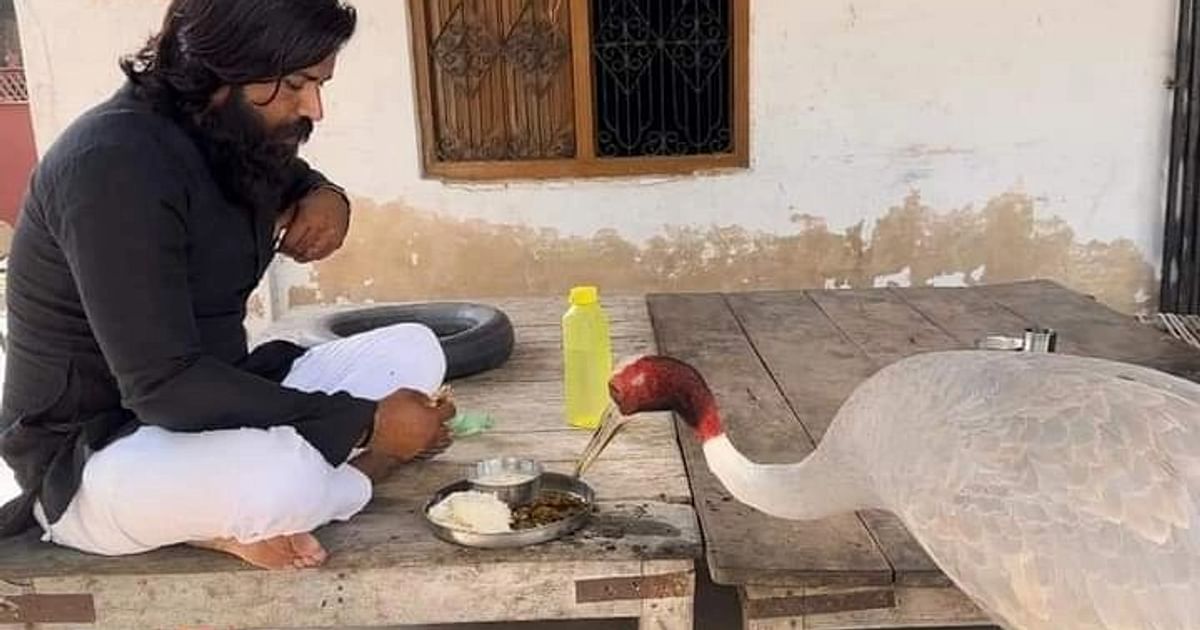 'But the Sarus Crane Was Free': Here's Why Arif Deserves Better...