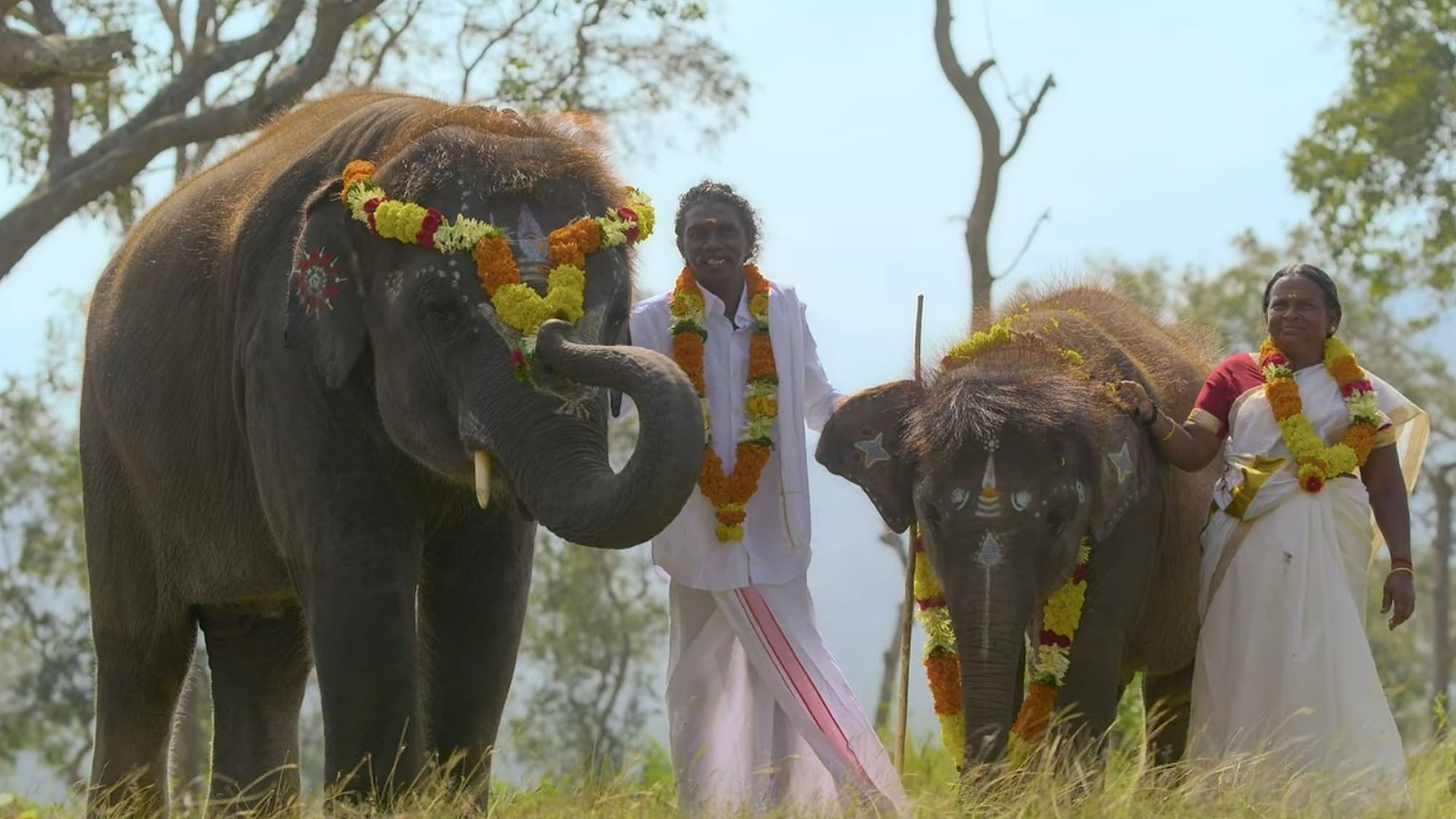 <div class="paragraphs"><p>A still of the couple Bomman, Bellie, and their elephant calves, Ammu and Raghu who featured in Oscar winning documentary&nbsp;<em><strong>The Elephant Whisperers.</strong></em></p></div>