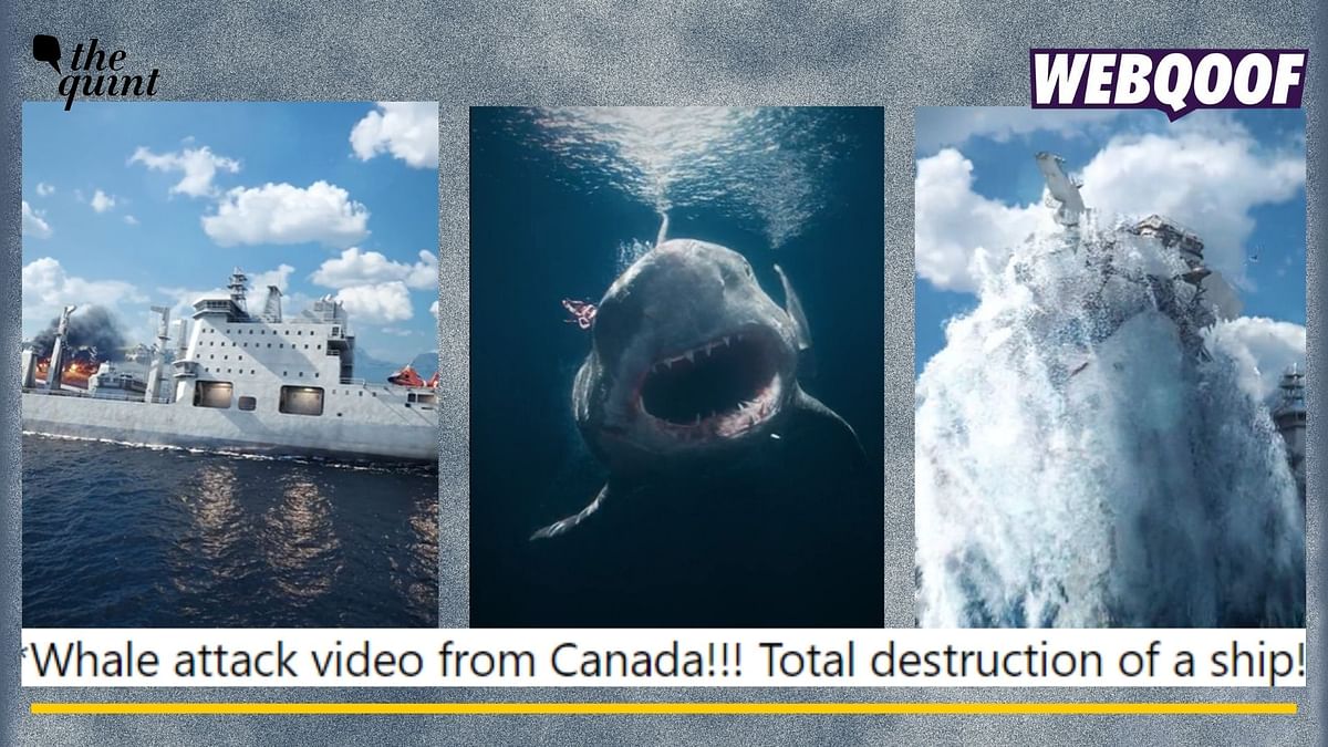 Animated Video of a 'Whale' Destroying Ship In an Ocean Goes Viral as Real
