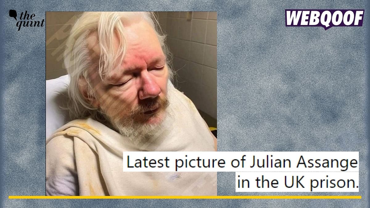 Image of Julian Assange in Prison Is Not Real But AI-Generated!
