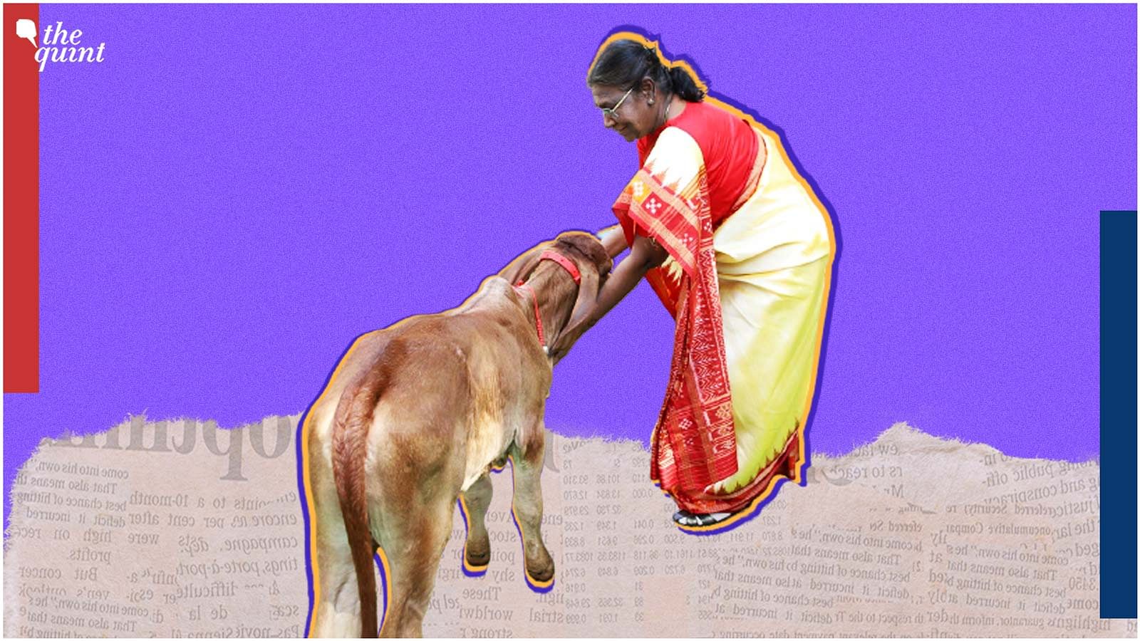 <div class="paragraphs"><p>Named Ganga, India's first ever cloned cow was born on 16 March, weighed 32 kg at the time of birth, and is "growing well," according to the National Dairy Research Institute.</p></div>