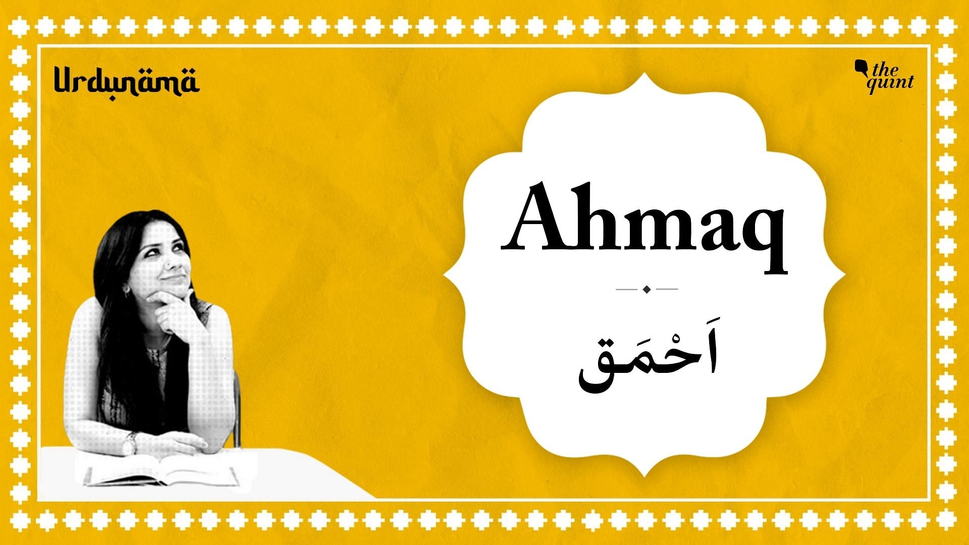<div class="paragraphs"><p>Urdunama episode on 'Ahmaq'</p></div>