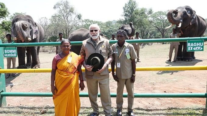 <div class="paragraphs"><p> The Elephant Whisperers' Bomman and Belli meet PM Modi After Oscar win</p></div>