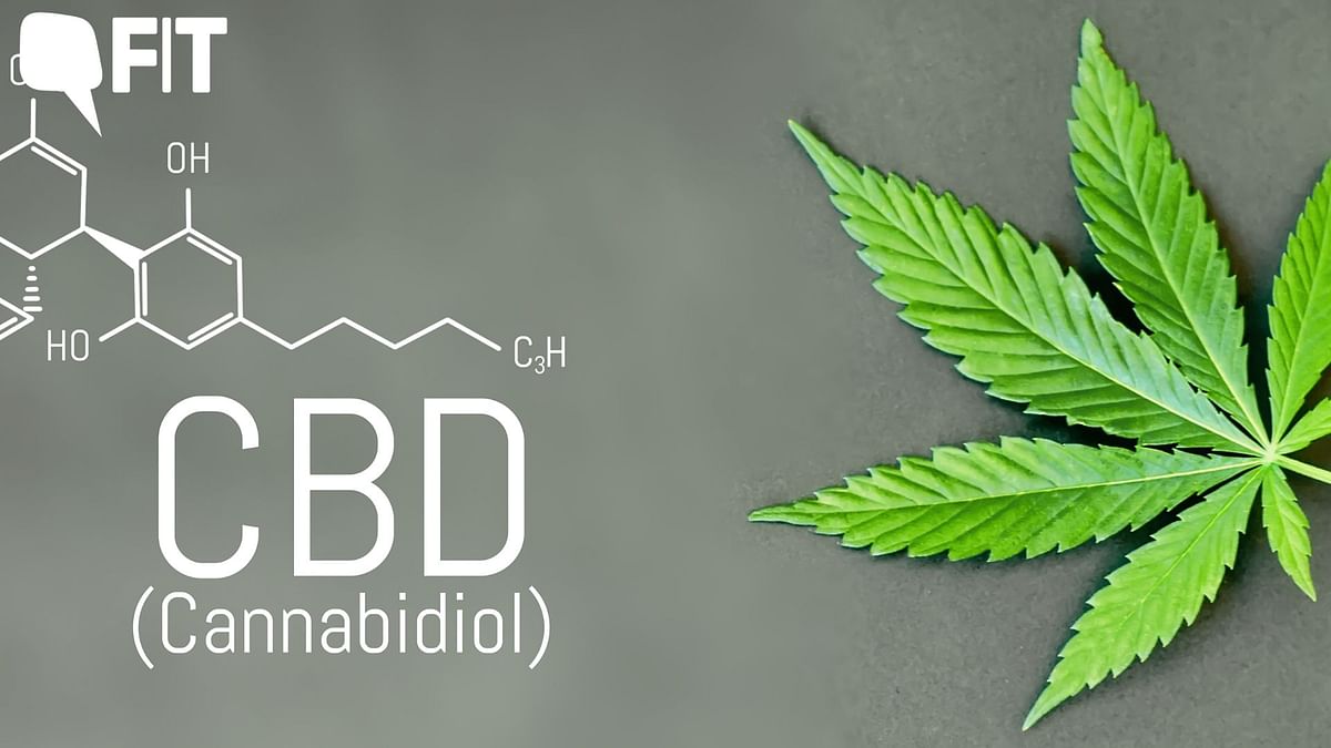 A Drug or Remedy? Understanding CBD Oil Beyond Its Purposes & Stereotypes