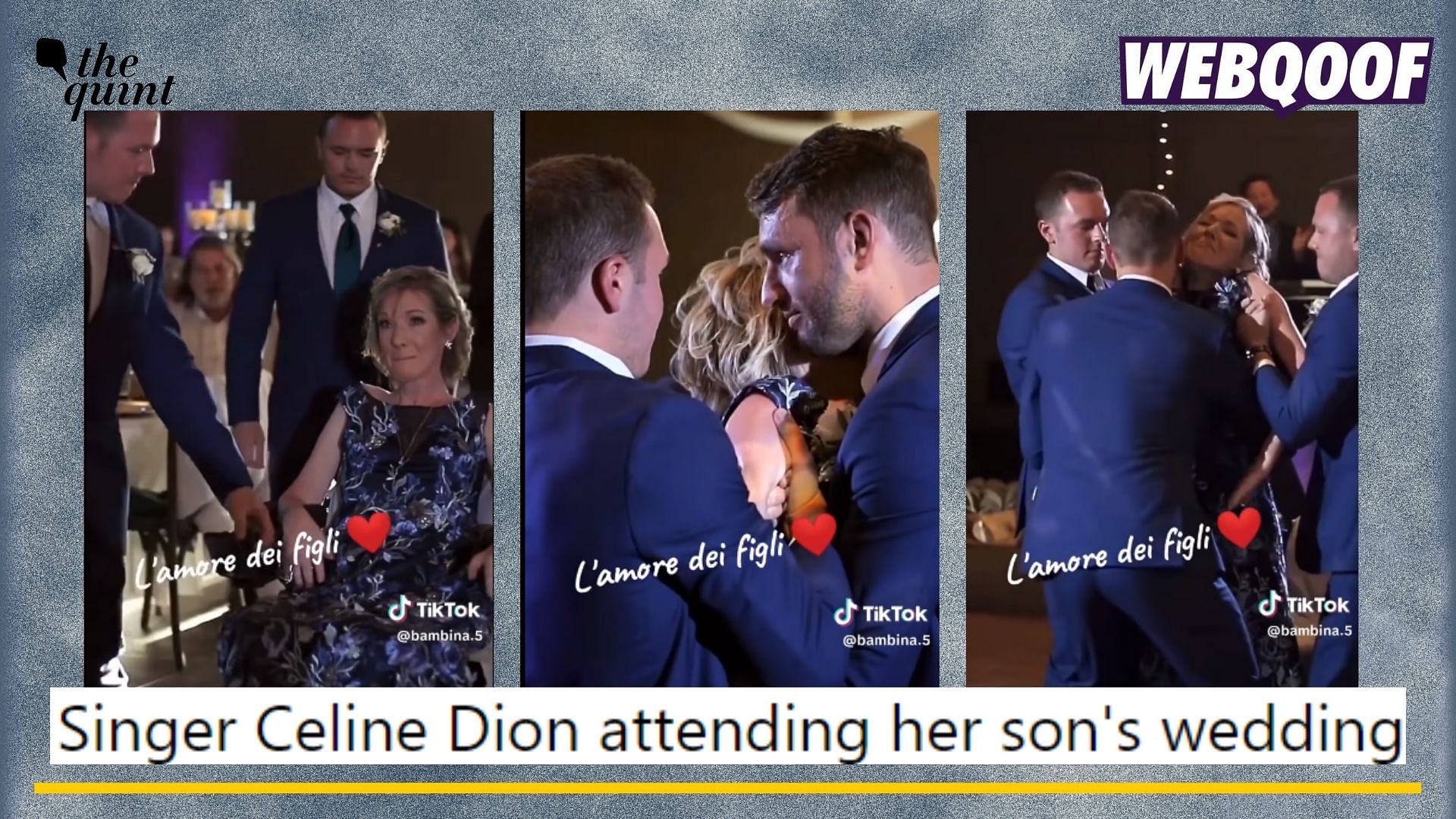 <div class="paragraphs"><p>Fact-check:&nbsp;A video showing a woman on wheelchair at her son's wedding is not singer Celine Dion.</p></div>