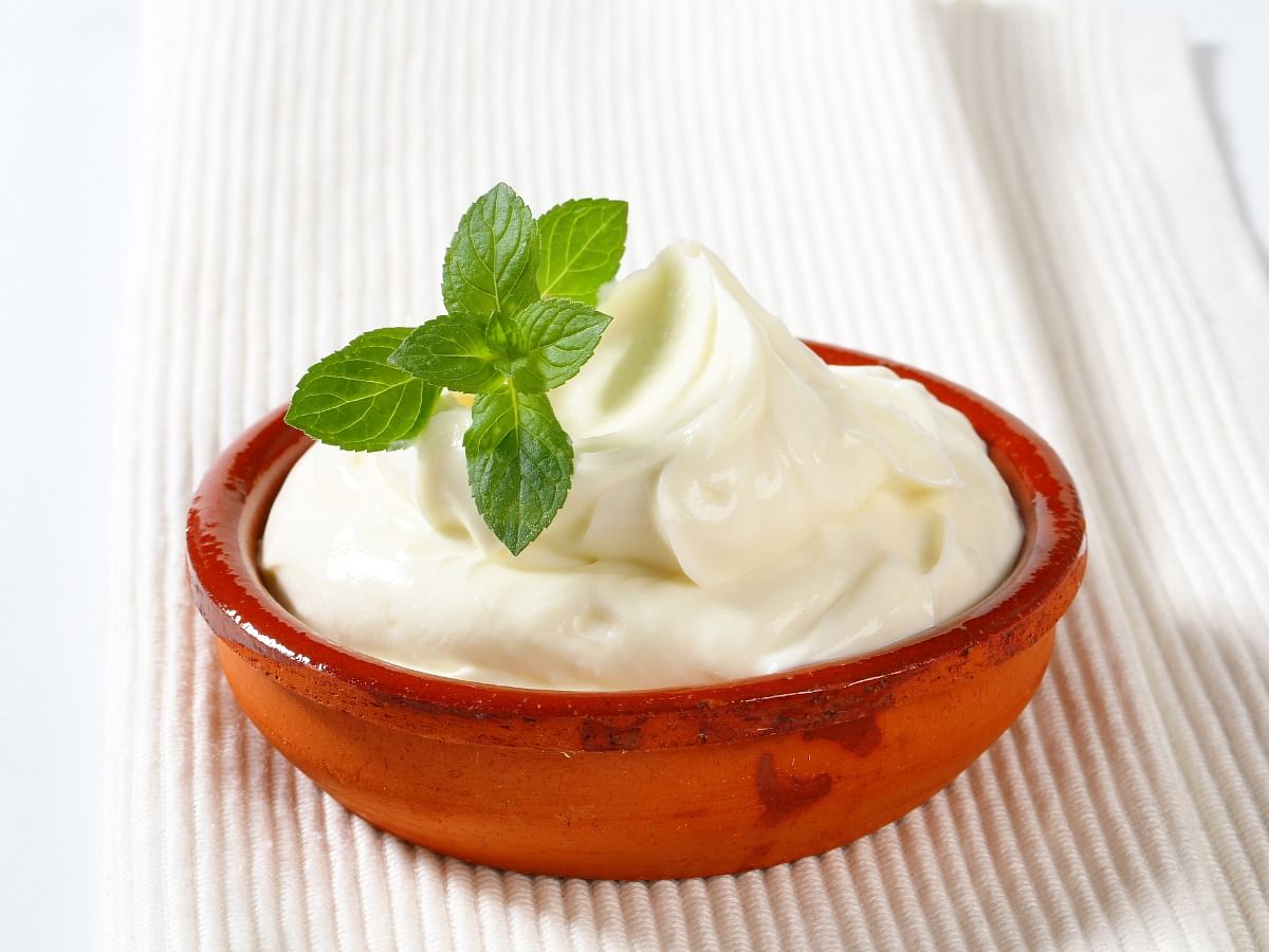 5 Benefits of Eating Curd in the Summer 