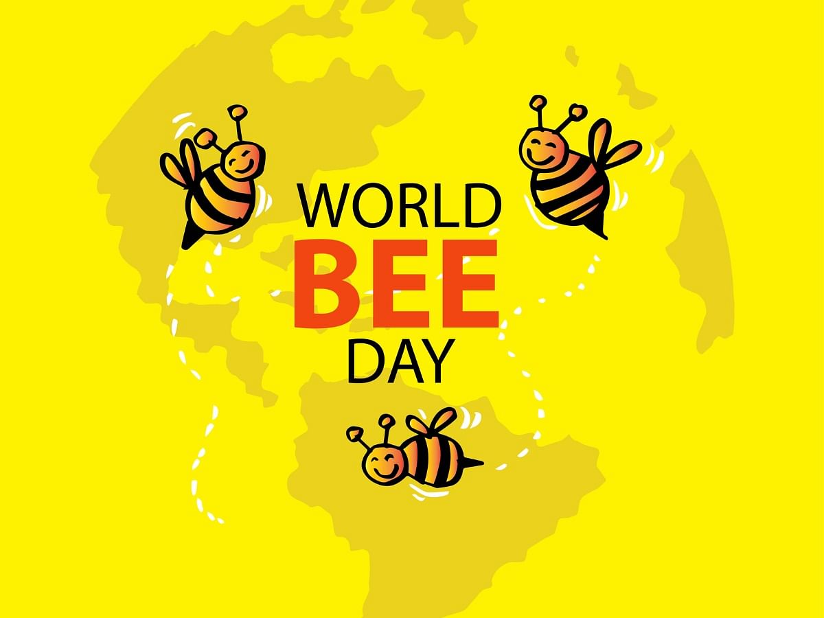 <div class="paragraphs"><p>Happy&nbsp;World Bee Day 2023</p></div>