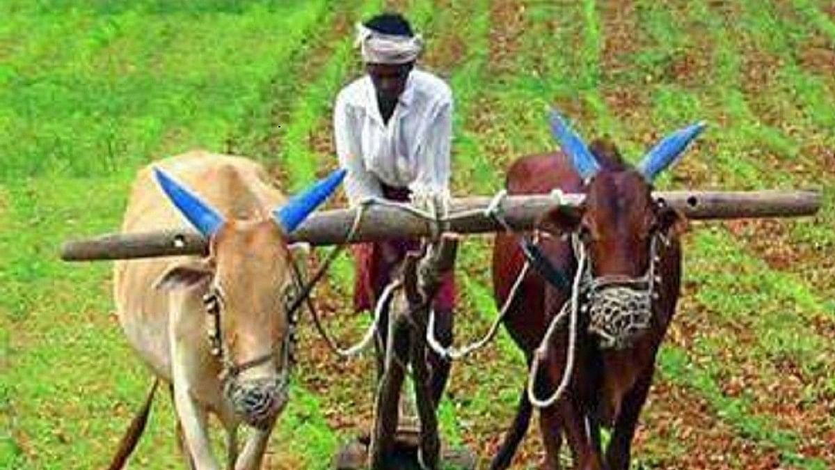 <div class="paragraphs"><p> PM-KISAN Samman Nidhi Yojana 15th installment has been released for farmers. Details here.</p></div>