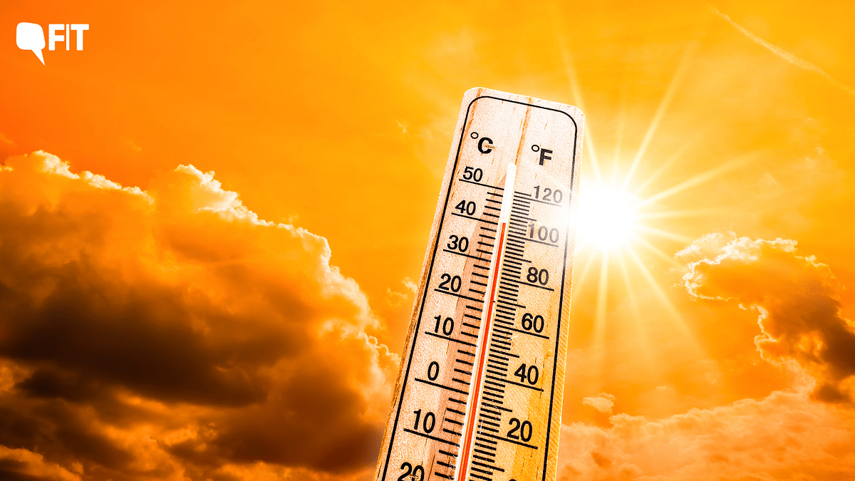 IMD Issues Heatwave Advisory For South India: Four Things You Need to Know