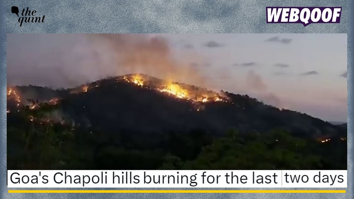 Fact-Check: This Video Doesn’t Show an Ongoing Forest Fire in Goa’s Canacona