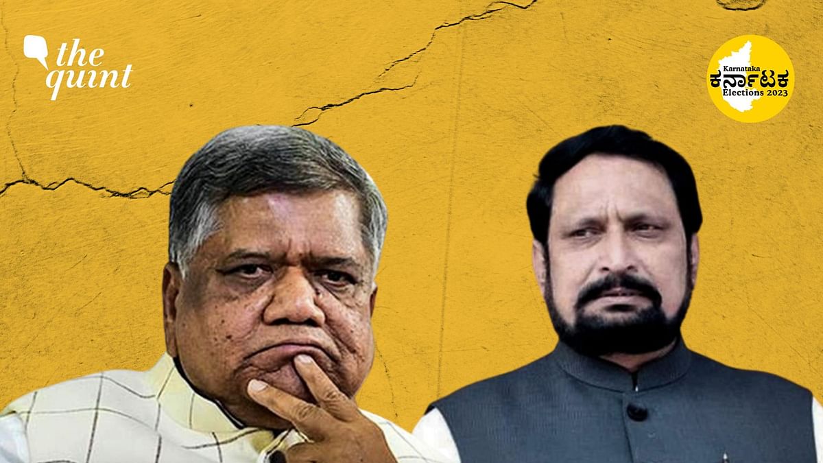2023 Karnataka Assembly Elections: How Did The Turncoats Perform?