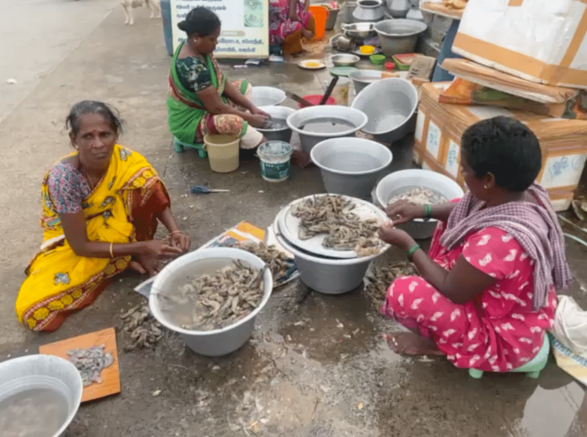 'Fish sellers near Chennai's marina beach Loop Road have been asked to vacate as stalls lead to traffic congestion