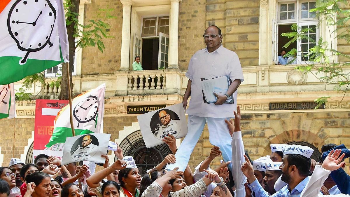 Rahul Gandhi's Call, Oppn Unity: Sharad Pawar's Reasons on Revoking Resignation
