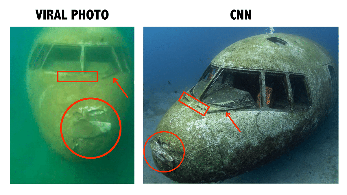 The photo shows a Lockheed Martin L1011 TriStar plane which was sunk in Jordan's Gulf of Aqaba for diving tourism.