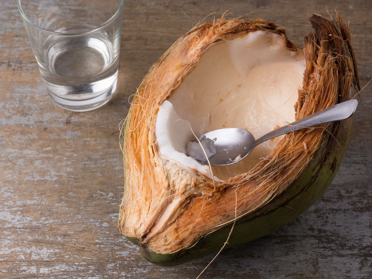 <div class="paragraphs"><p>Coconut Meat nutrients and its benefits</p></div>