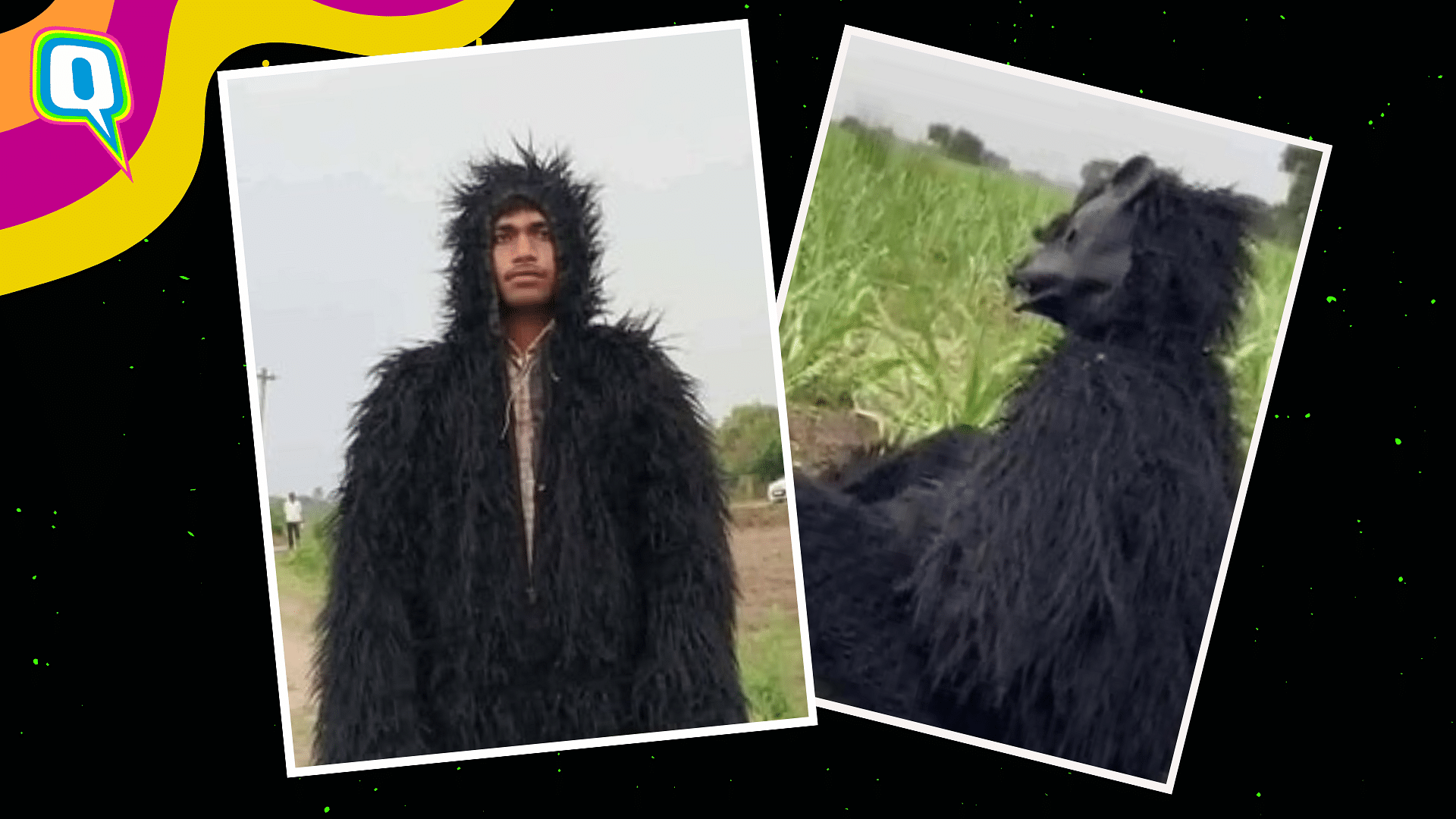 <div class="paragraphs"><p>UP Farmers Dress Up As Bears To Scare Off Monkeys Damaging Their Crops</p></div>