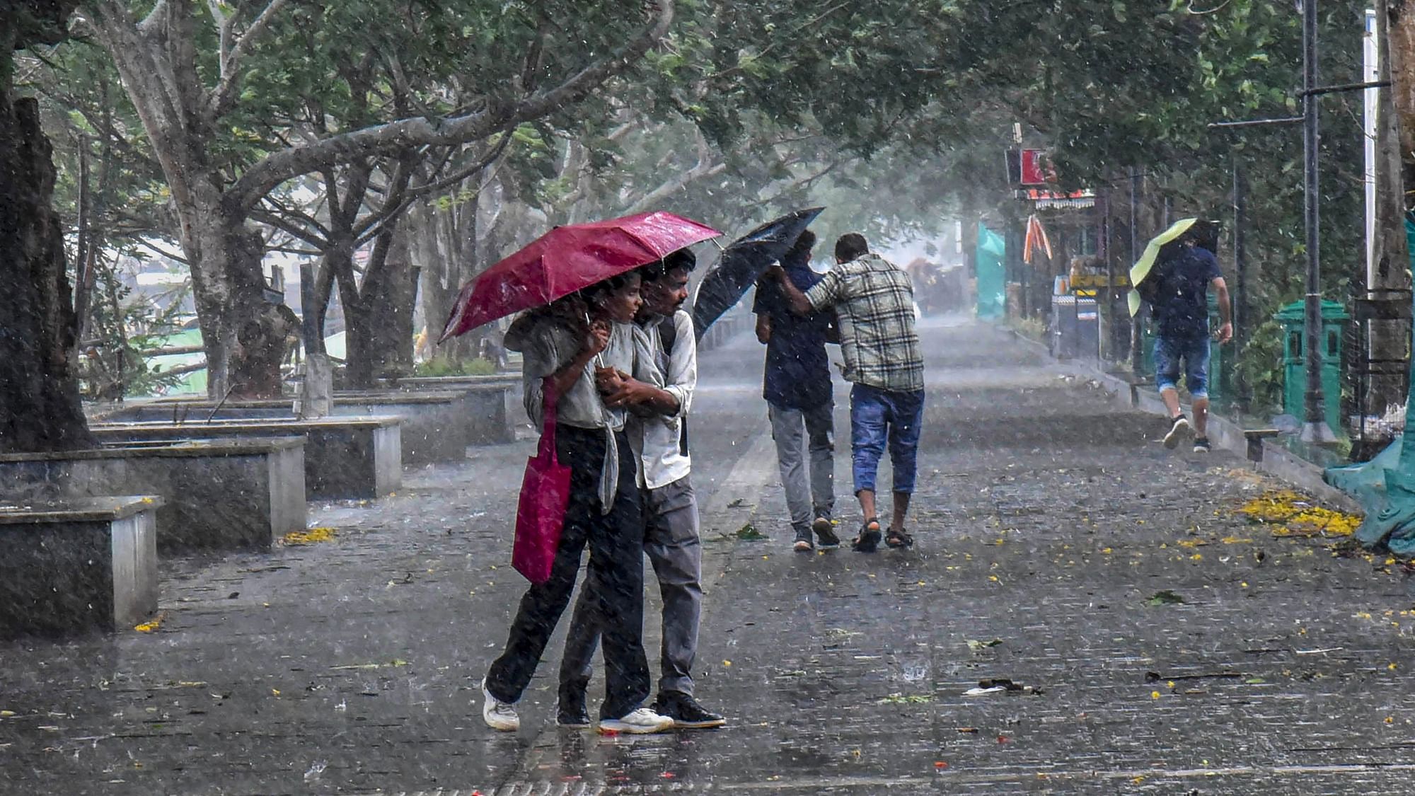 <div class="paragraphs"><p>People walk past covering themselves under an umbrella during rainfall as monsoon arrives in Kerala, in Kochi, Friday, 9 June.</p></div>