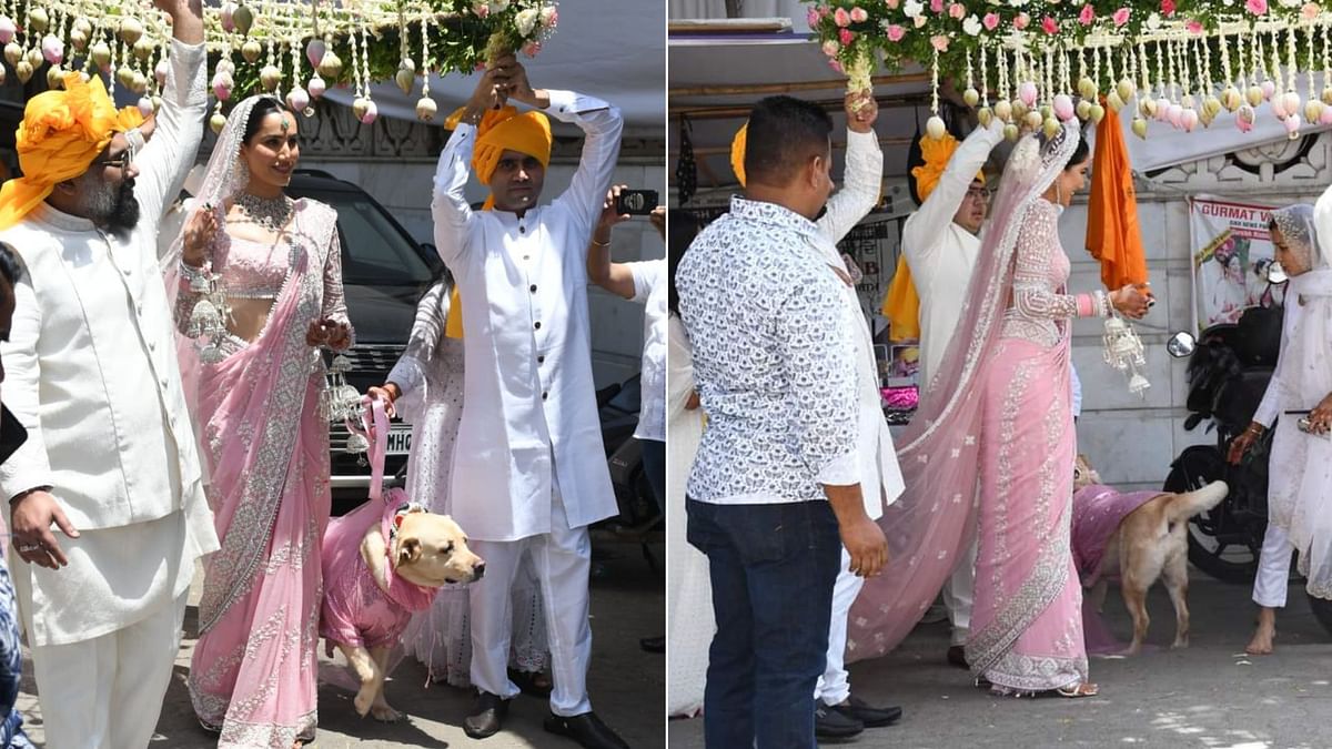 Sonnalli Seygall Wedding: Pyaar Ka Punchnama Actor Looks Stunning In First Pics 
