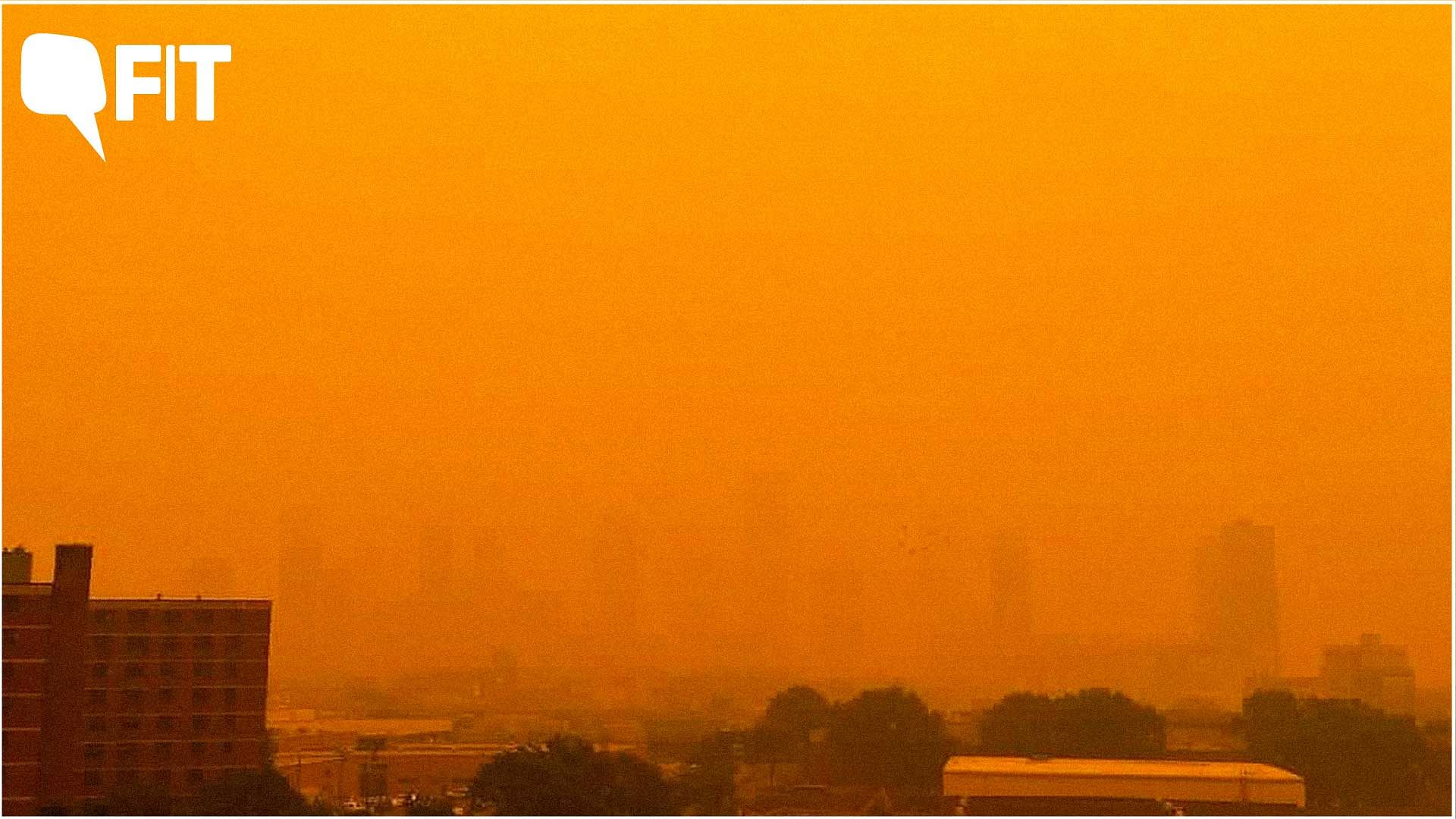 <div class="paragraphs"><p><strong><a href="https://www.thequint.com/podcast/heatwaves-action-plan-india-aditya-pillai-podcast">FIT</a></strong> explains what health impacts wildfire smoke and toxic air can have on individuals.</p></div>