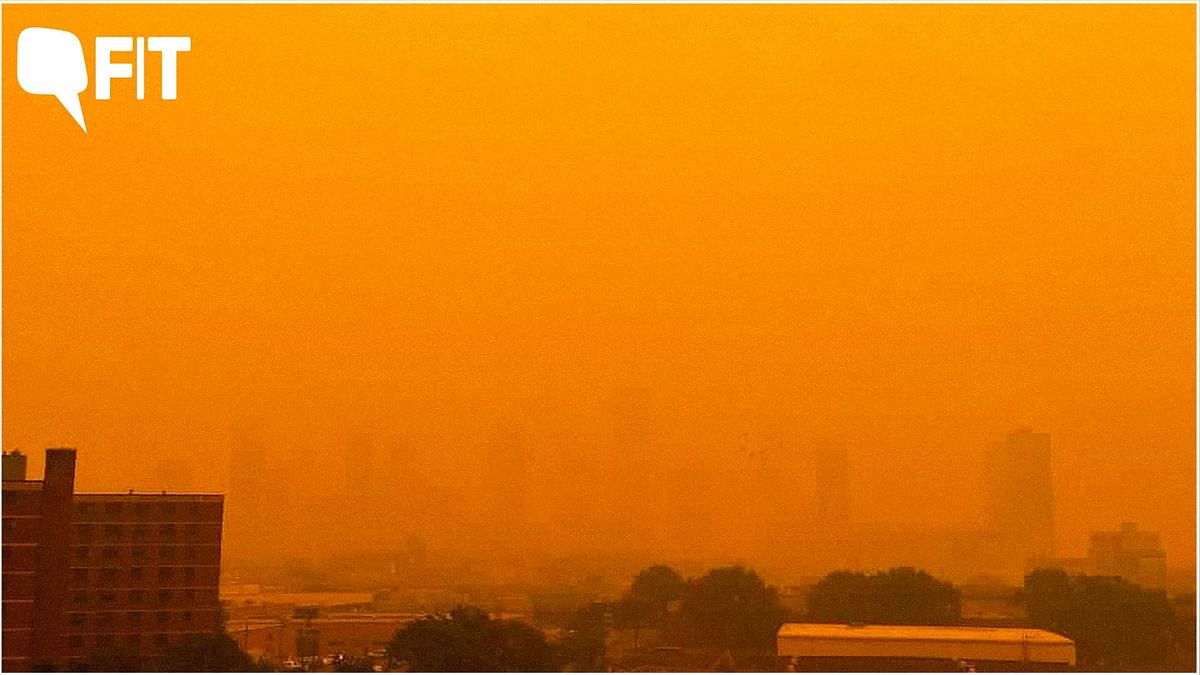 Wildfire Smoke From Canada Is Choking New York: What Is the Health Impact?