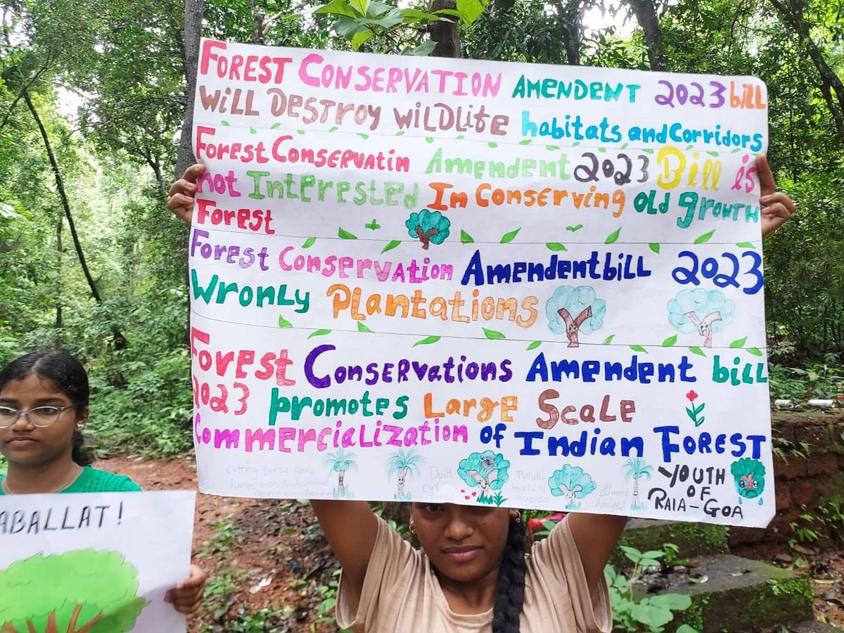 Fear Extreme Climate Events If Govt Takes Away Forests: Citizens Oppose New Bill