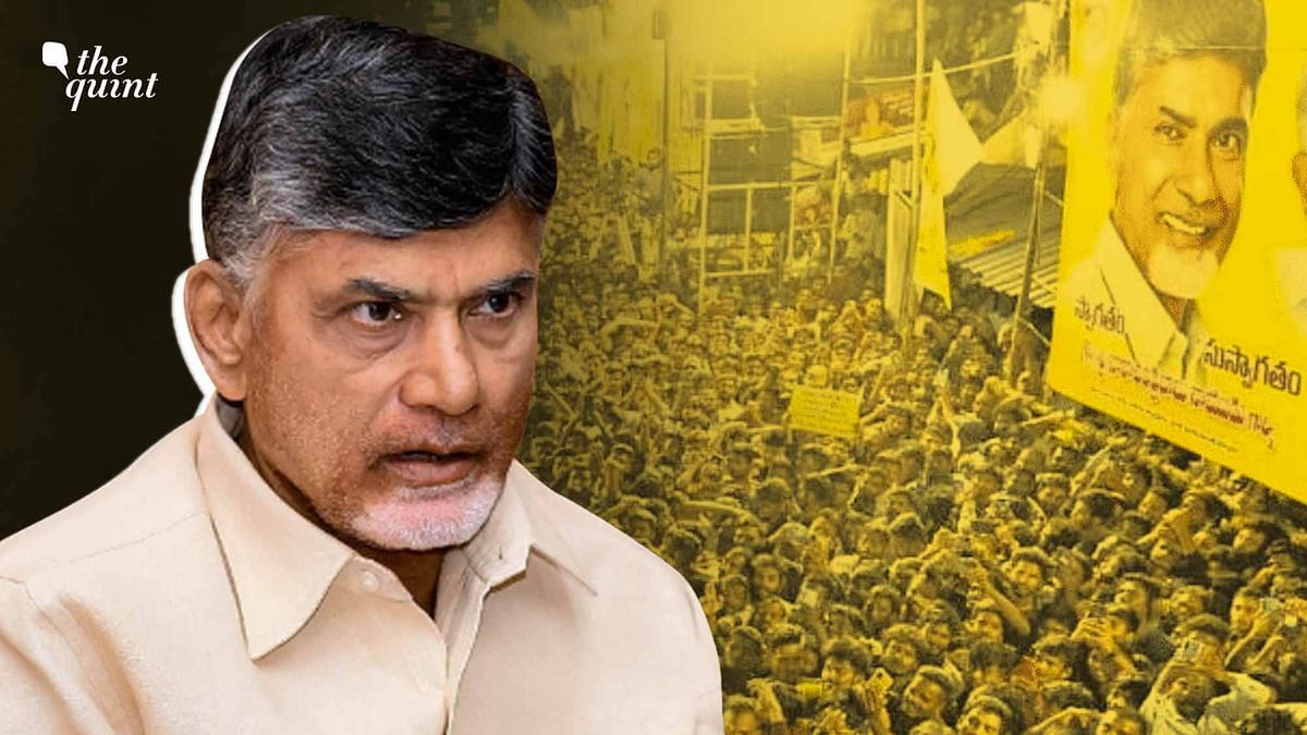 Will TDP Join Hands With BJP In AP? The Answer Is Complicated