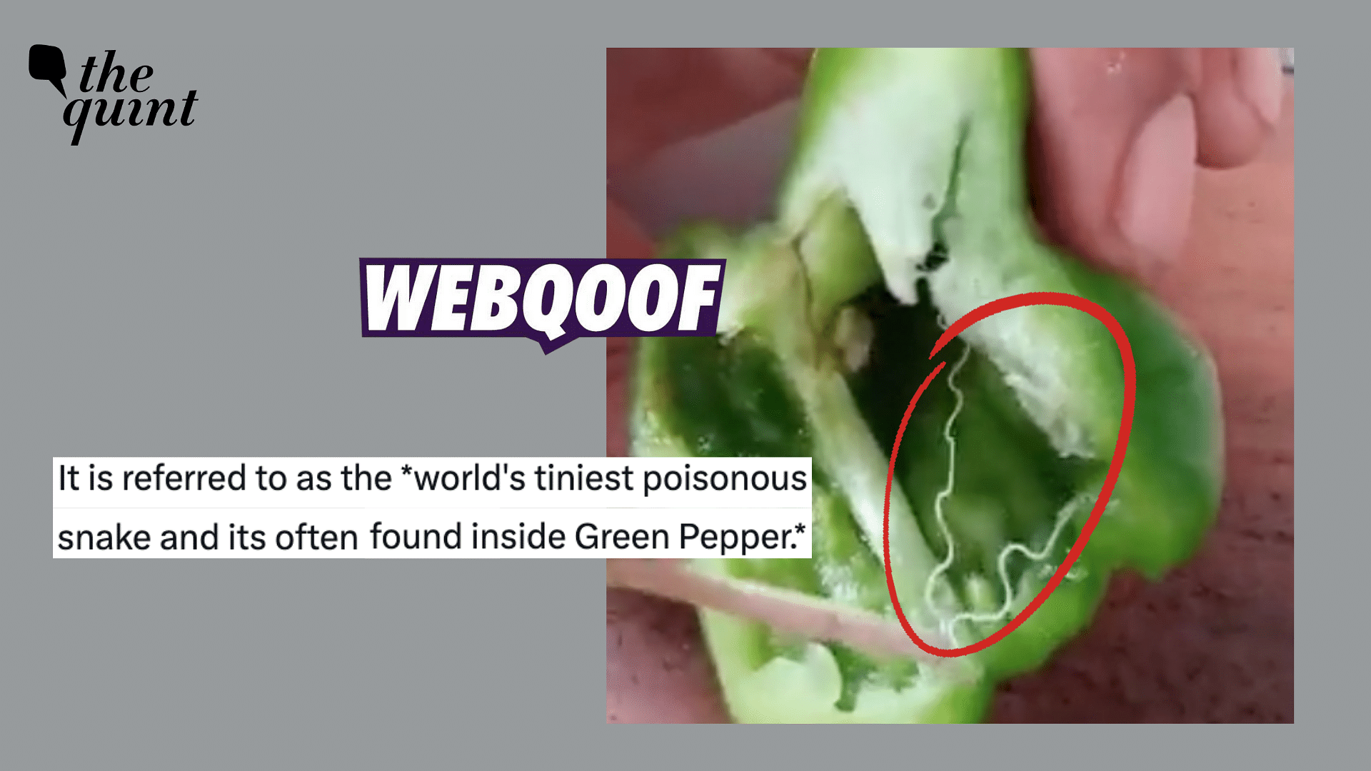 <div class="paragraphs"><p>The video showing an insect inside a bell pepper has been posted with similar claims on social media since 2019.</p></div>