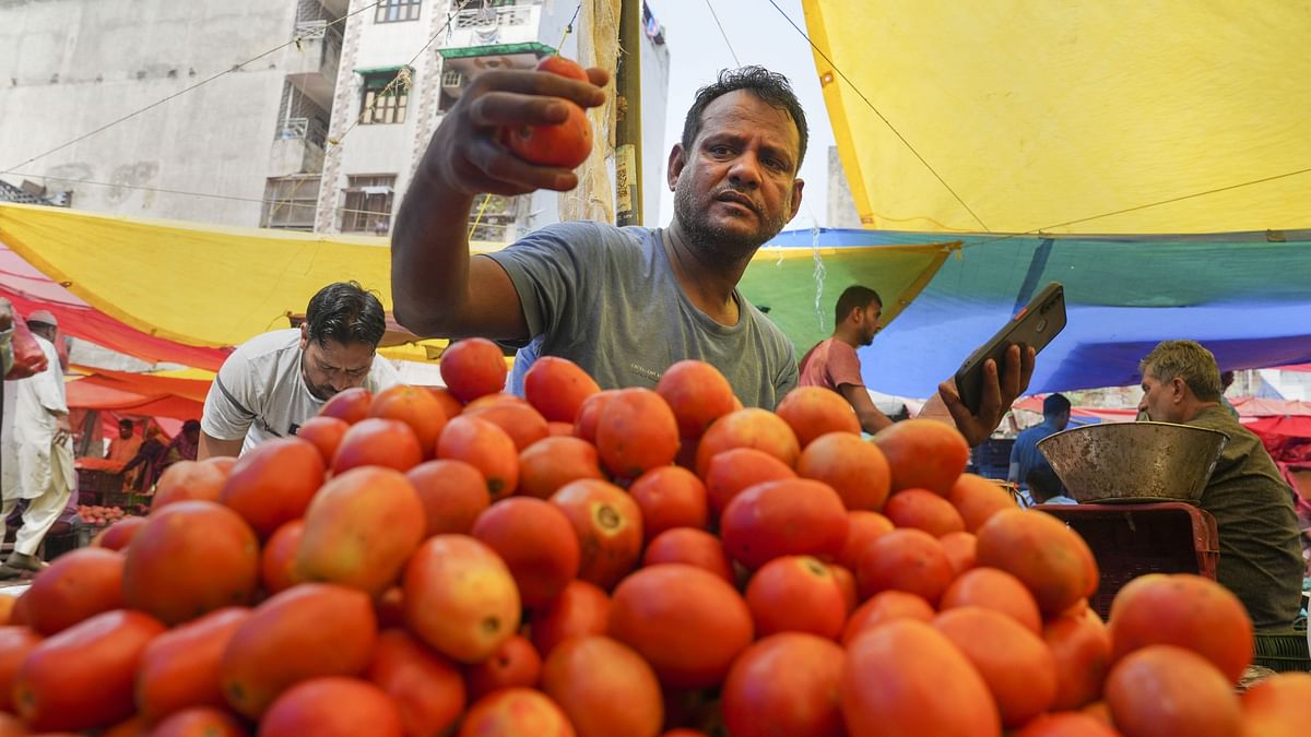 Centre Caps Tomato Price @ Rs 80 in Delhi, Noida: Why Are Veggie Prices Soaring?