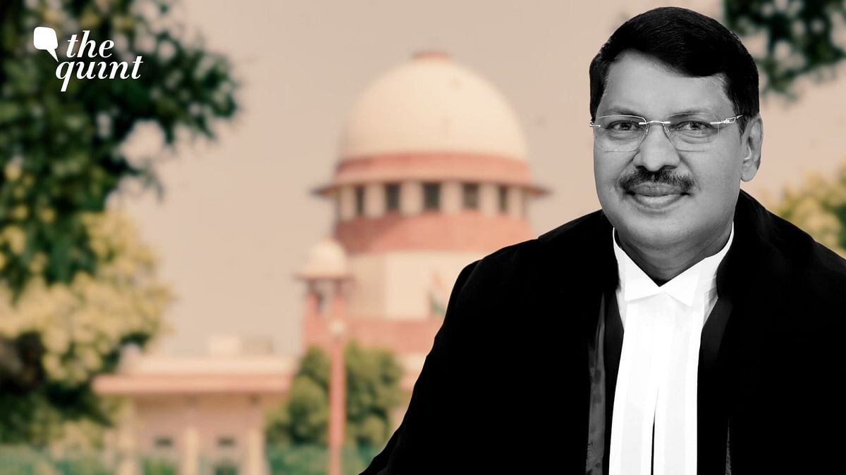Twitter Trolls Can Relax, Justice Gavai's 'Congress-Family' Links Don't Matter