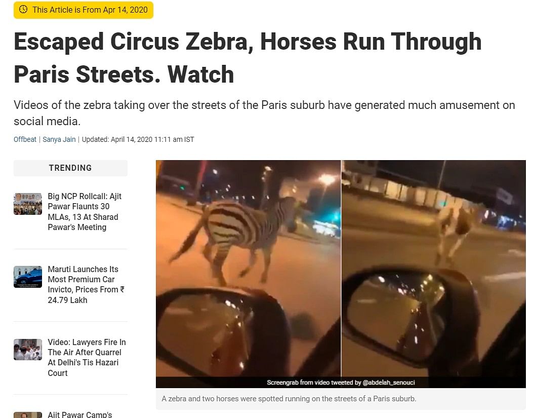These videos of animals running on streets are old clips and unrelated to ongoing protests in France.