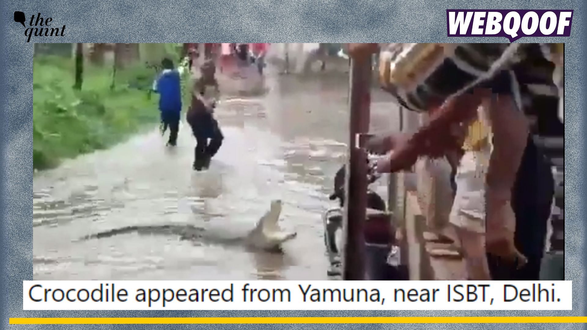 <div class="paragraphs"><p>Fact-check: An old video showing a crocodile in waterlogged streets in Gujarat is being shared as from Delhi's Yamuna river or Haryana's Ambala. </p></div>